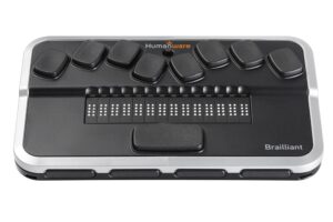 Brailliant 14
