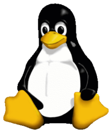 Picture of Linux Lgo named Tux