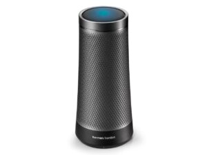Graphite Harmon Kardon Invoke speaker